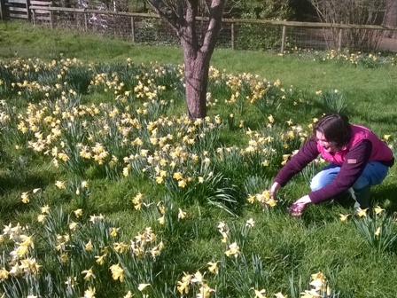 Tammy with daffodils (2)